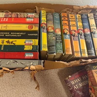 Hardy Boy Books (24)