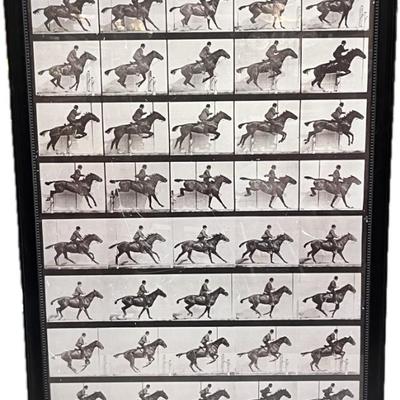 Sale Photo Thumbnail #112