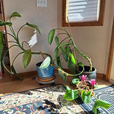 Sale Photo Thumbnail #40