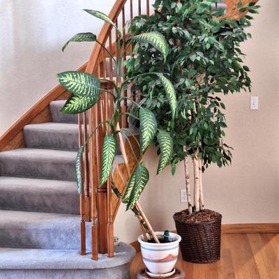 Sale Photo Thumbnail #52