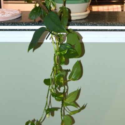 Sale Photo Thumbnail #72