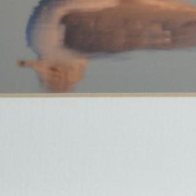 Sale Photo Thumbnail #55