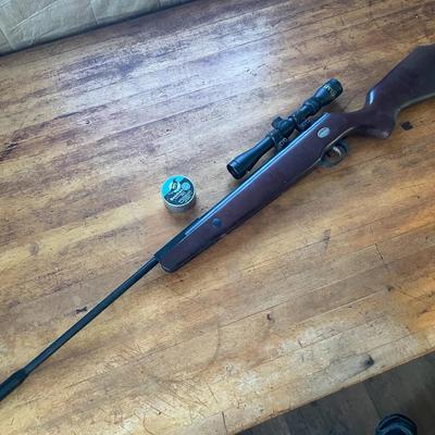 Beeman Precision Pellet Airgun