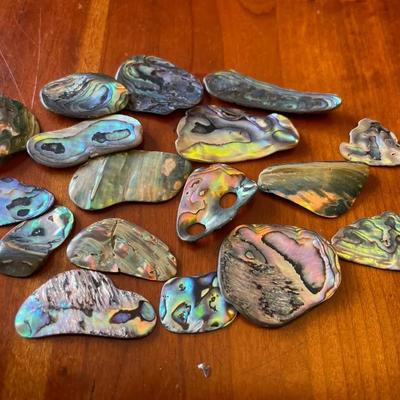 Lot Of Abalone Shell Pieces