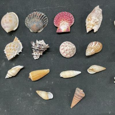 Sale Photo Thumbnail #94