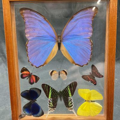 Sale Photo Thumbnail #29