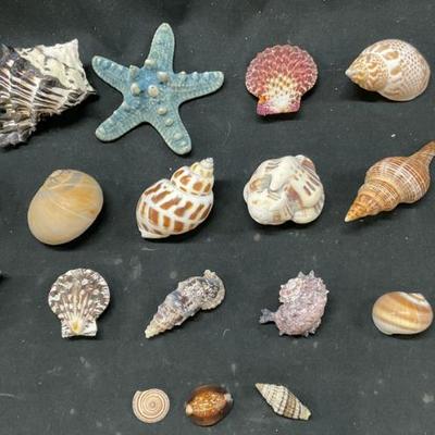 Sale Photo Thumbnail #15