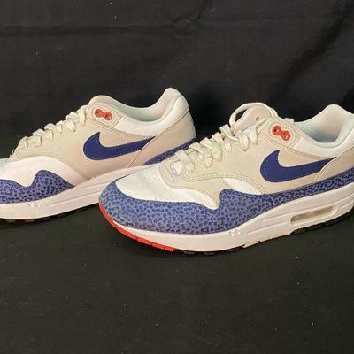 Team USA 2024 Olympics Team Issued Only Nike Air Max 1 HM7079-001