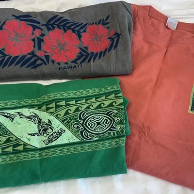 #14 Crazy Shirts Hawaiian Original T-Shirt Collection (3)