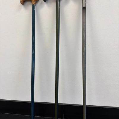 #2 Harvey Derby Handled Walking Canes - Green, Turquoise & Grey