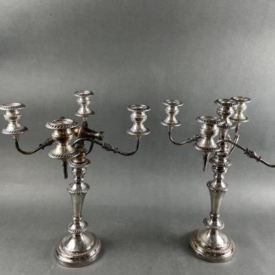 Sale Photo Thumbnail #579