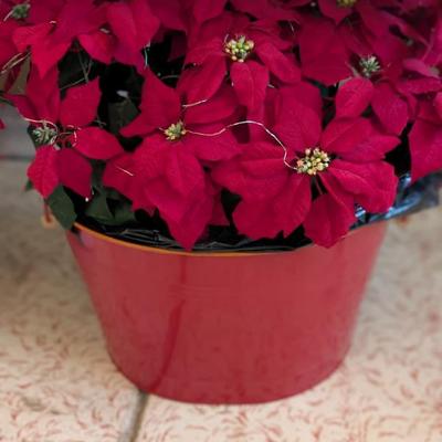 Sale Photo Thumbnail #308