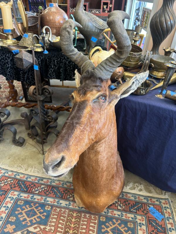 Sale Photo Thumbnail #2