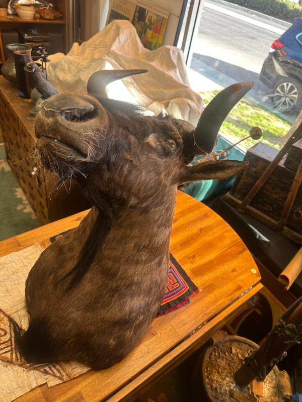 Sale Photo Thumbnail #4