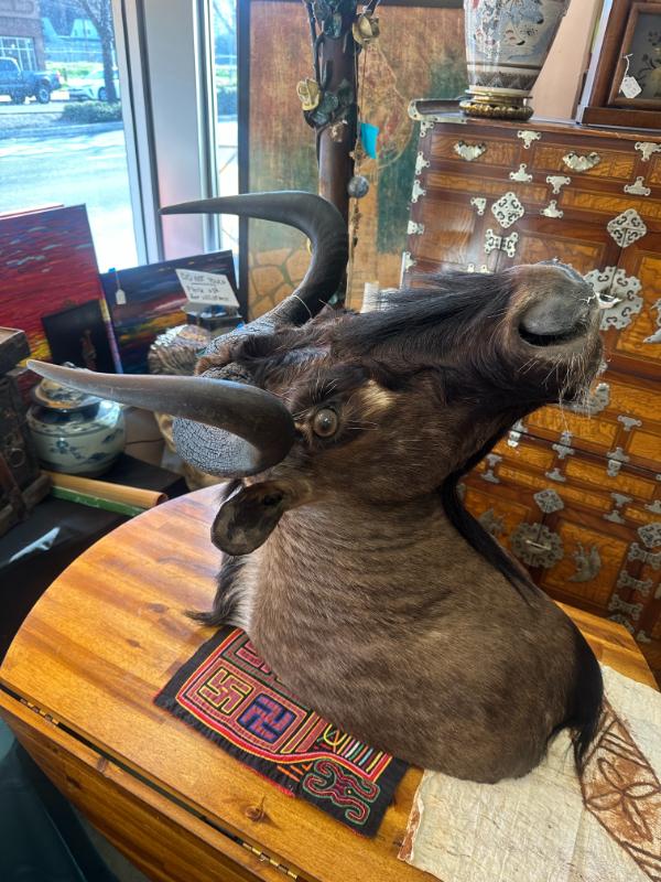 Sale Photo Thumbnail #3