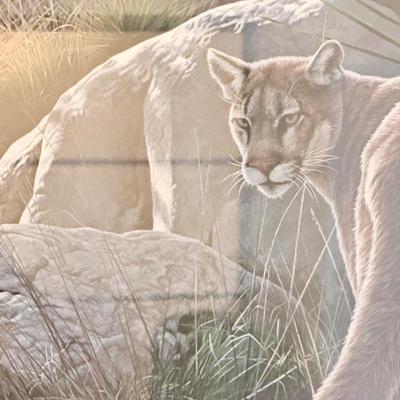 Sale Photo Thumbnail #101