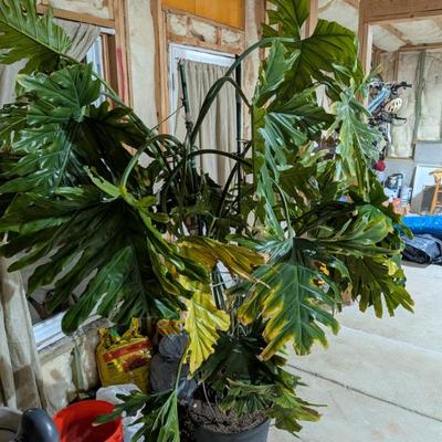 Sale Photo Thumbnail #25