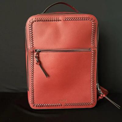 Calpak Computer Backpack 