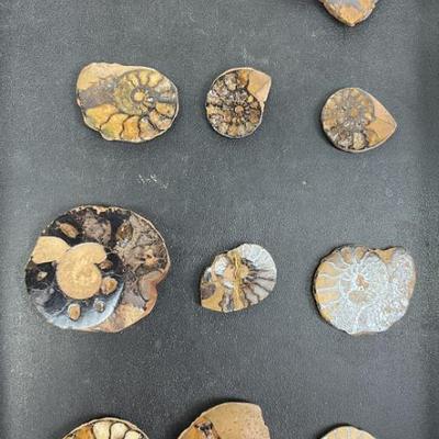 Sale Photo Thumbnail #654