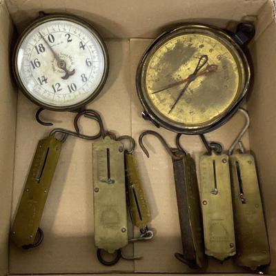 Sale Photo Thumbnail #680