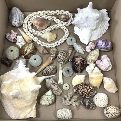 Sale Photo Thumbnail #712