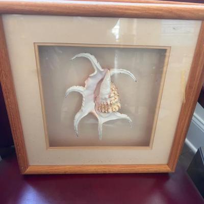 Sale Photo Thumbnail #53