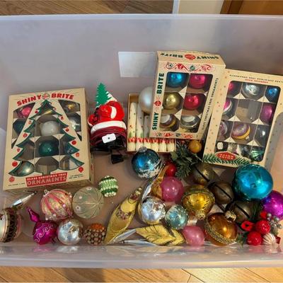 Mystery Lot of Vintage Ornaments- Shiny Brite & More
