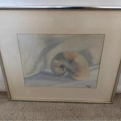 Framed Pastel Colored Nautilus Shell Original Art Ann Noel
