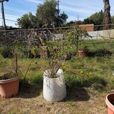 Sale Photo Thumbnail #24