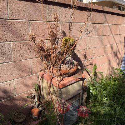 Sale Photo Thumbnail #26