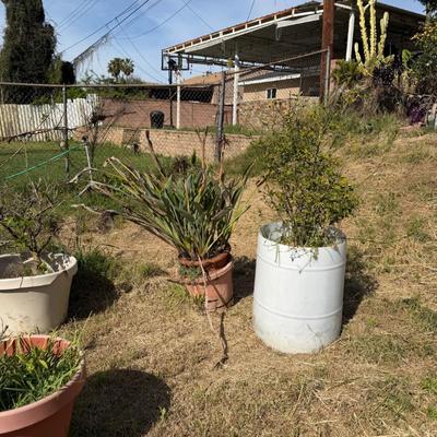 Sale Photo Thumbnail #25