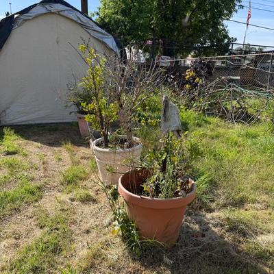 Sale Photo Thumbnail #20