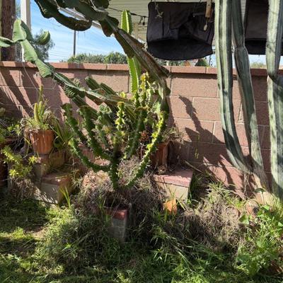 Sale Photo Thumbnail #29