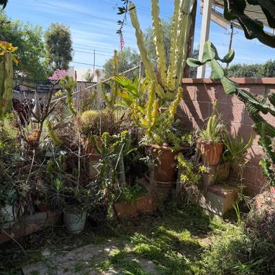 Sale Photo Thumbnail #28