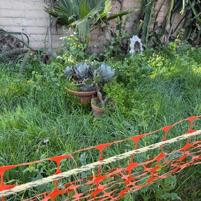 Sale Photo Thumbnail #13