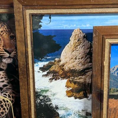 Sale Photo Thumbnail #138