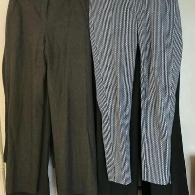 Lot Of 9 Professional Women’s Pants
