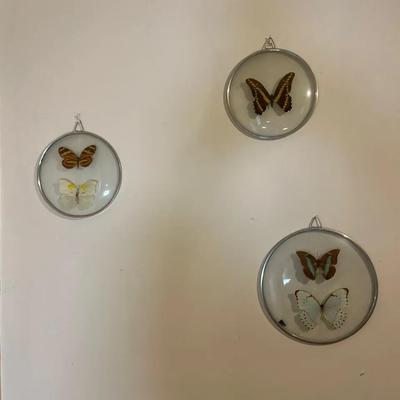 Framed Butterflies, Made in Brazil - 3 Round Frames