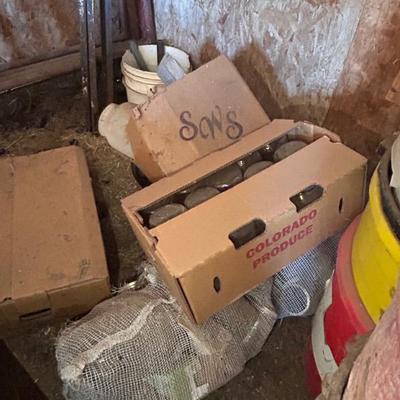 Sale Photo Thumbnail #363