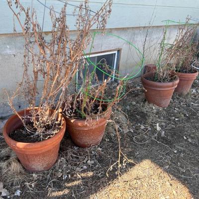 Sale Photo Thumbnail #340