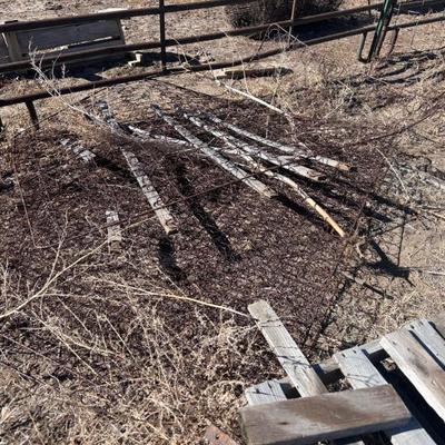 Sale Photo Thumbnail #373