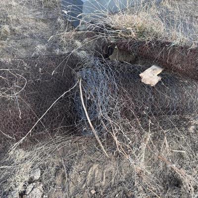 Sale Photo Thumbnail #402