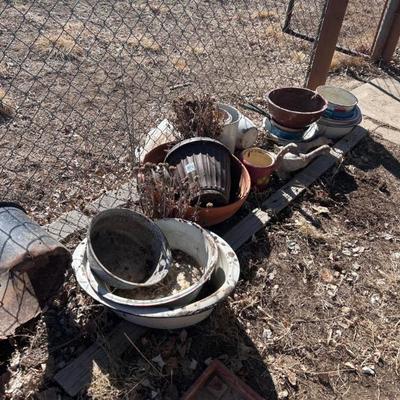 Sale Photo Thumbnail #336