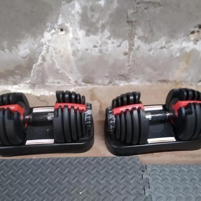 Bowflex weights