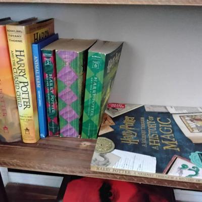 Lot Books, JK Rowling And George Orwell 