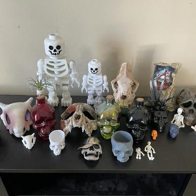 Lot Of Skeletons And Skulls