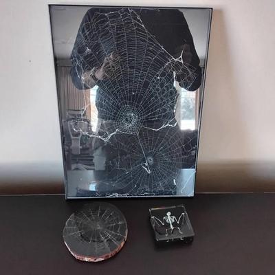 Lot Of Framed Spiderwebs And Bat Skeleton 