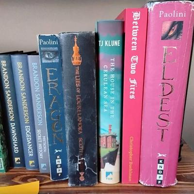 Lot Of Fantasy Novels 