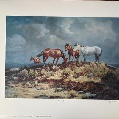 Sale Photo Thumbnail #28