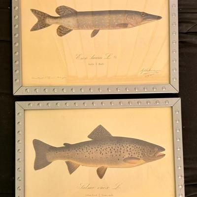 Sale Photo Thumbnail #493